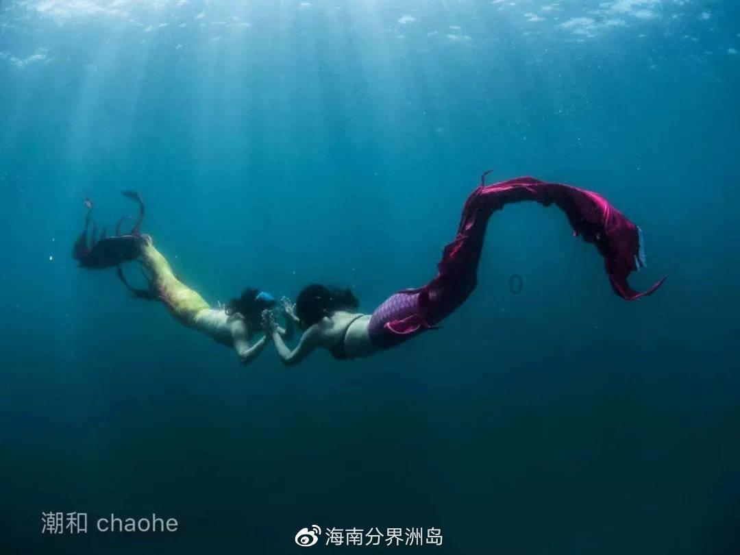 谈及市值管理纳入央企考核,中国电信:积极探索和研究中